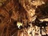 Špilja/ Cave/ Höhle/ La grotta Biserujka
