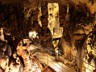 Špilja/ Cave/ Höhle/ La grotta Biserujka
