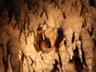Špilja/ Cave/ Höhle/ La grotta Biserujka